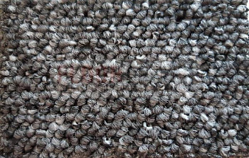 Ковролин Timzo Fortuna 3927 фото 1 | FLOORDEALER