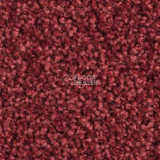 Ковролин Balsan Les Must Les Must 590 фото 1 | FLOORDEALER