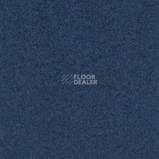 Ковролин FINETT Sport 7019 фото 1 | FLOORDEALER