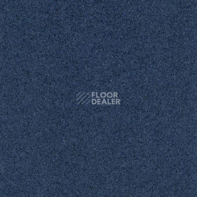 Ковролин FINETT Sport 7019 фото 1 | FLOORDEALER