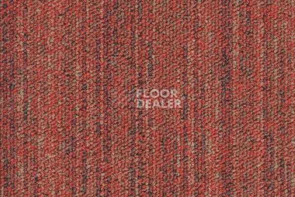 Ковровая плитка Tecsom 3550 Linear vision 00094 фото 1 | FLOORDEALER