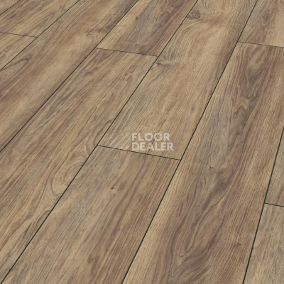 Ламинат Kronotex Robusto 12мм d50182 Синерея Натуральная фото 1 | FLOORDEALER