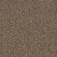 Desso Essence Pure ad 07 2031 фото 1 | FLOORDEALER