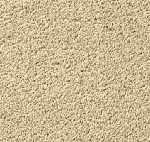 Ковролин Vorwerk Passion 1003 Vorwerk 8h97 фото 1 | FLOORDEALER