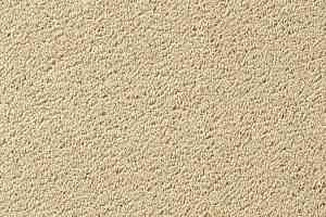 Ковролин Vorwerk Passion 1003 Vorwerk 8h97 фото  | FLOORDEALER