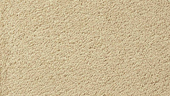 Ковролин Vorwerk Passion 1003 Vorwerk 8h97 фото 1 | FLOORDEALER