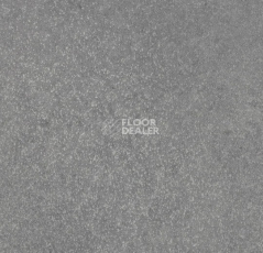 Линолеум Forbo SureStep Stone 17362 grey speckled фото 1 | FLOORDEALER