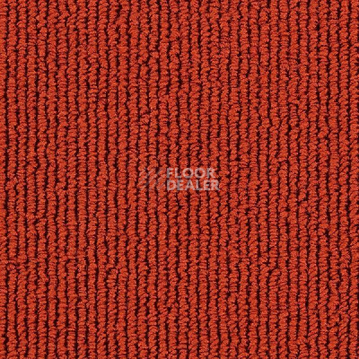 Ковролин Edel Gloss 145 фото 1 | FLOORDEALER