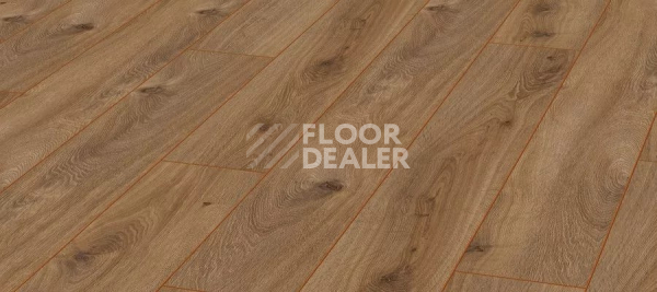 Ламинат Kronotex Aqua Amazone 10мм D4166 Дуб Престиж натуральный фото 1 | FLOORDEALER