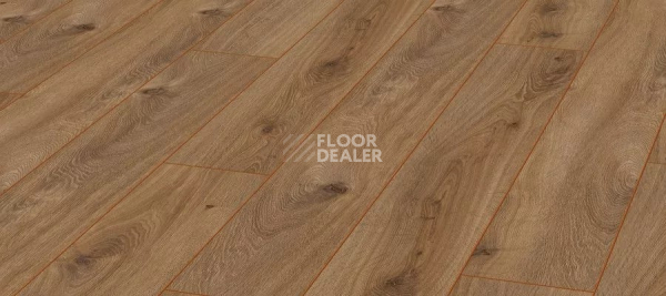 Ламинат Kronotex Aqua Amazone 10мм D4166 Дуб Престиж натуральный фото 1 | FLOORDEALER