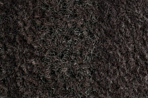 Coral Interior 1525 Prairie Dusk фото 4 | FLOORDEALER