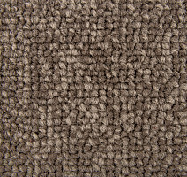Standard Carpets Spectrum sm 545 фото 2 | FLOORDEALER