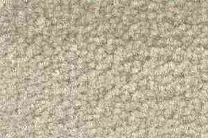 Ковролин Shaw Bradberry 30 525 фото  | FLOORDEALER