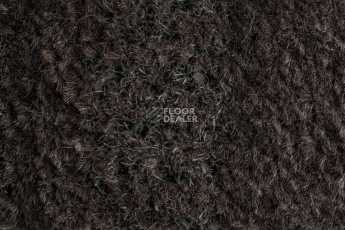 Coral Interior 1525 Prairie Dusk фото 4 | FLOORDEALER