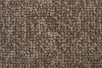 Standard Carpets Spectrum sm 545 фото 2 | FLOORDEALER