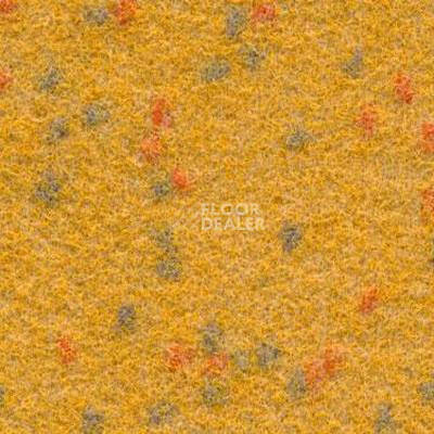 Ковролин Finett Vision Focus 205574 фото 1 | FLOORDEALER