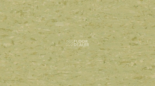 Кварцвиниловые полы Mipolam Accord EL7 3127 фото 1 | FLOORDEALER