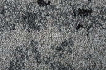 Balsan Vision Canopy to Bark 910 Zoom hd фото 3 | FLOORDEALER