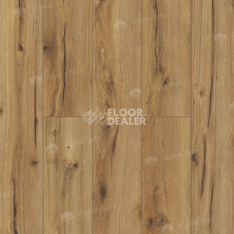 Classen Arteo 8 M 62750 Дуб Эрг фото 3 | FLOORDEALER