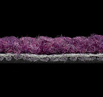 IVC Liberate 467 фото 5 | FLOORDEALER