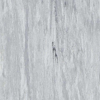 Кварцвиниловые полы Mipolam Robust El7 0002 Platinum фото 1 | FLOORDEALER