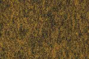 Ковролин Finet Vision Color 800124 фото  | FLOORDEALER