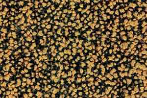 Ковровая плитка Desso Precious Metals Precious Metals Sparkle 2026 фото  | FLOORDEALER