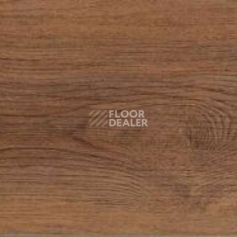 Evofloor Optima Click 4.2мм Дуб Янтарный фото 9 | FLOORDEALER