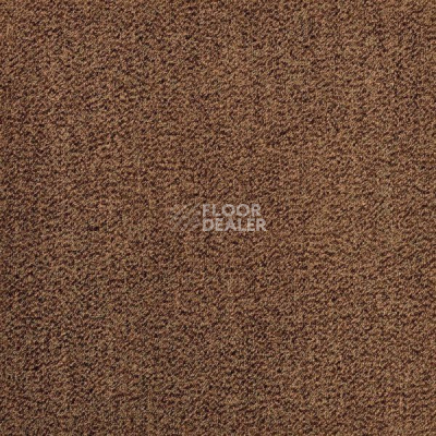 Ковровая плитка Modulyss Base 805 фото 1 | FLOORDEALER