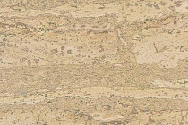 Пробковое покрытие Cork Pro замковое Comprido Vanilla фото 1 | FLOORDEALER