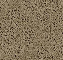 Ковролин Balsan Riziere 630 фото 1 | FLOORDEALER