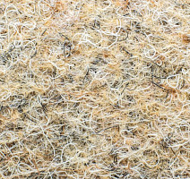 Ковролин Forbo Markant 11103 Sand фото 1 | FLOORDEALER