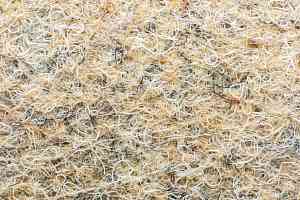 Ковролин Forbo Markant 11103 Sand фото  | FLOORDEALER