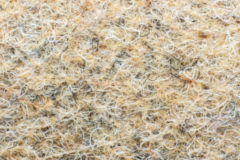 Ковролин Forbo Markant 11103 Sand фото 1 | FLOORDEALER