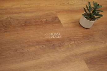 Evofloor Optima Click 4.2мм Дуб Янтарный фото 3 | FLOORDEALER