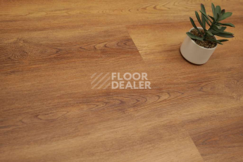 Evofloor Optima Click 4.2мм Дуб Янтарный фото 3 | FLOORDEALER