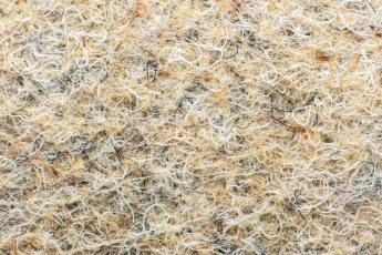 Ковролин Forbo Markant 11103 Sand фото 1 | FLOORDEALER