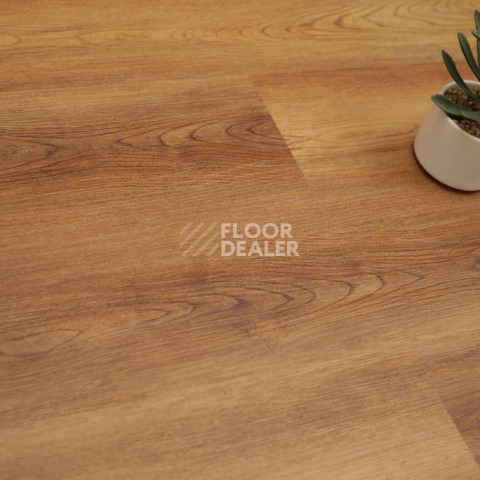 Evofloor Optima Click 4.2мм Дуб Янтарный фото 3 | FLOORDEALER