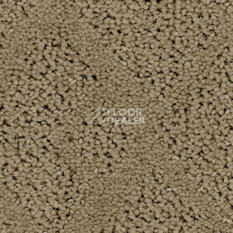 Ковролин Balsan Riziere 630 фото 1 | FLOORDEALER