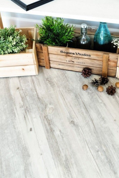 Alpine Floor Classic Акация CLICK ЕСО 107-8 фото 4 | FLOORDEALER