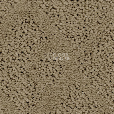 Ковролин Balsan Riziere 630 фото 1 | FLOORDEALER