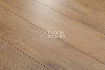 Ламинат Floorway Prestige 12mm PRE-61 фото 1 | FLOORDEALER