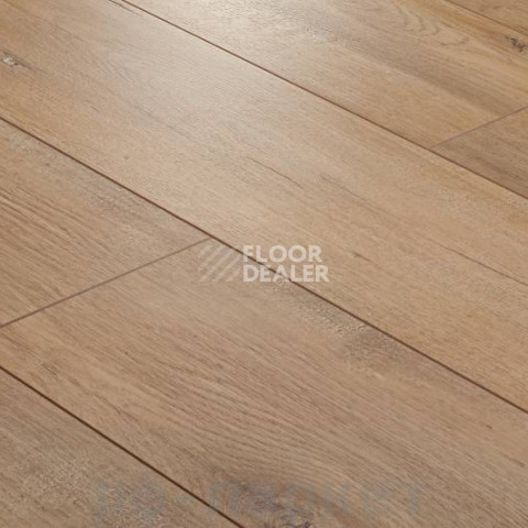 Ламинат Floorway Prestige 12mm PRE-61 фото 1 | FLOORDEALER