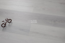 Evofloor Optima Click 4.2мм Дуб Снежный фото 3 | FLOORDEALER