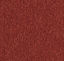 Ковролин Balsan Majestic 547 фото 1 | FLOORDEALER