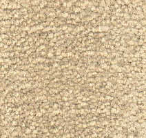 Ковролин Emphatic Beaulieu of America 56142 фото 1 | FLOORDEALER