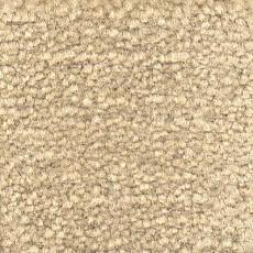 Ковролин Emphatic Beaulieu of America 56142 фото 1 | FLOORDEALER