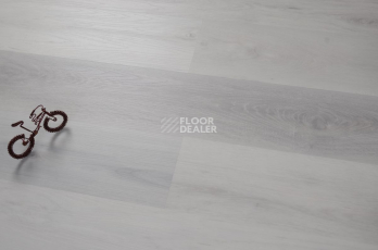 Evofloor Optima Click 4.2мм Дуб Снежный фото 3 | FLOORDEALER