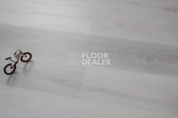 Evofloor Optima Click 4.2мм Дуб Снежный фото 3 | FLOORDEALER