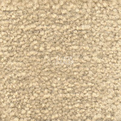 Ковролин Emphatic Beaulieu of America 56142 фото 1 | FLOORDEALER